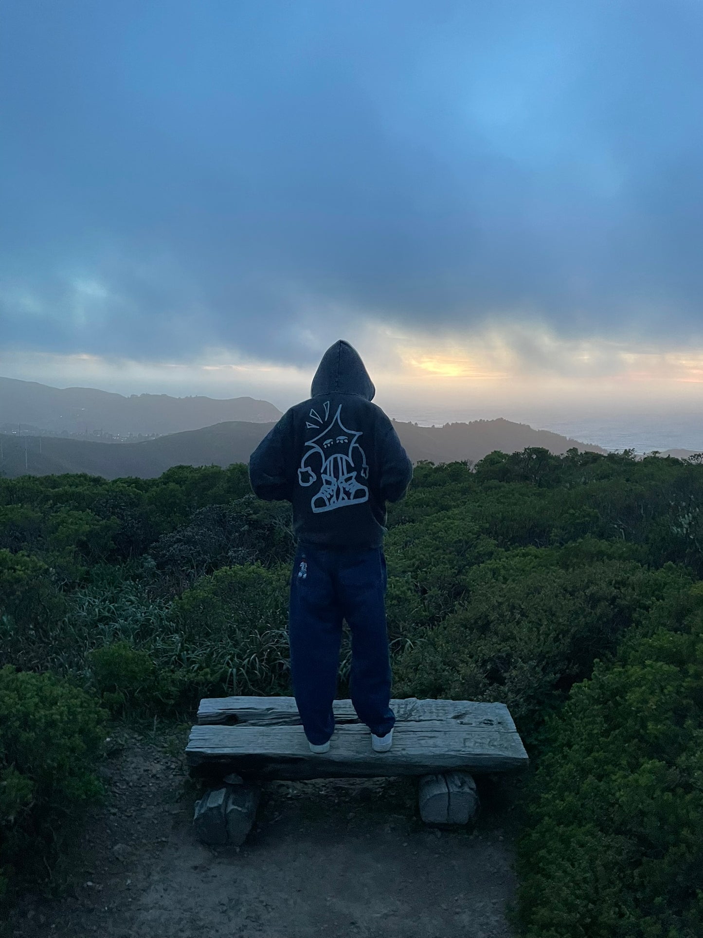 STARMAN HOODIE